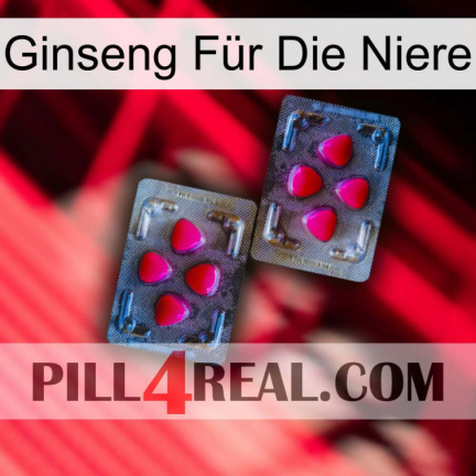 Ginseng Für Die Niere 15